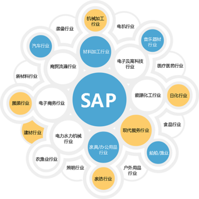 杭州SAP ERP軟件 企業(yè)數(shù)字化轉(zhuǎn)型的智慧選擇與專(zhuān)業(yè)咨詢(xún)指南